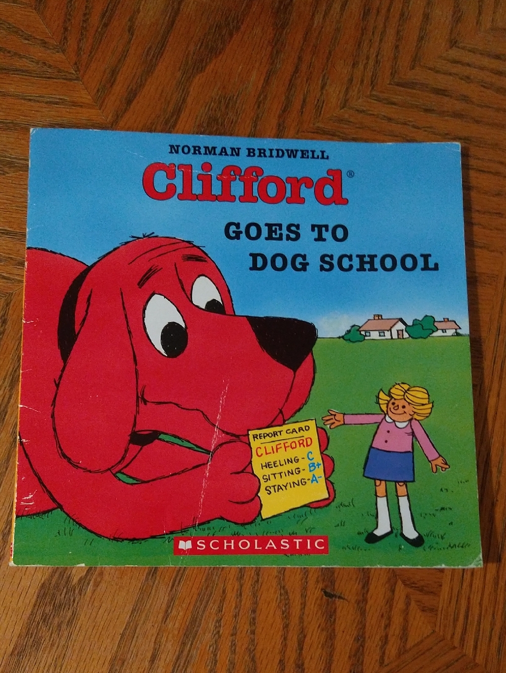 ✨✨✨ Clifford Goes To Dog School Children's Book